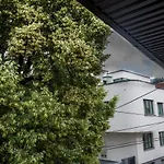 Alen Old Town - Free Parking 사라예보