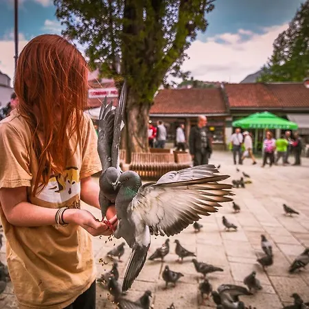 Alen Old Town - Free Parking Saraievo