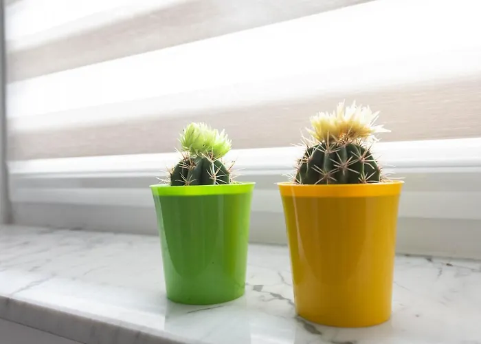 Apartmán Alen Old Town - Free Parking *